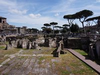 ANCIENT ROMAN RUINS - BASILICA ULPIA 004
