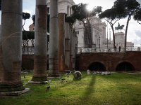 ANCIENT ROMAN RUINS - BASILICA ULPIA 018