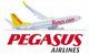 Pegasus Airlines